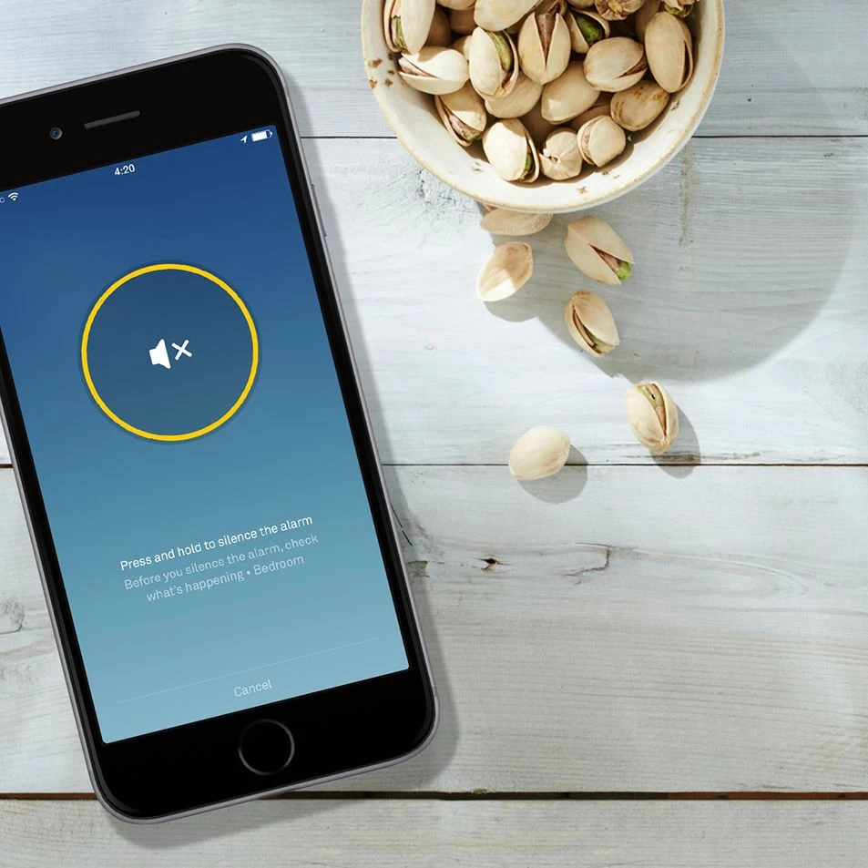 Google Nest Battery-powered Smoke & Carbon Monoxide Alarm 8 Google Nest Battery-powered Smoke & Carbon Monoxide Alarm - Image 6