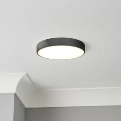 Wapta Matt Black Bathroom Ceiling Light